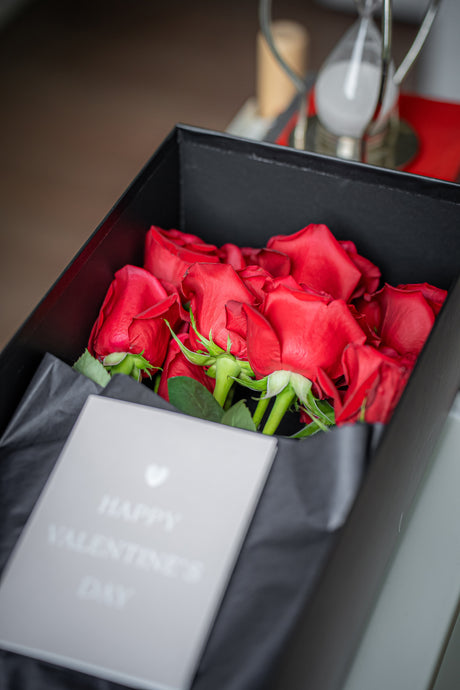 Rosa Prima® Freedom Red Roses — 12 Premium Roses