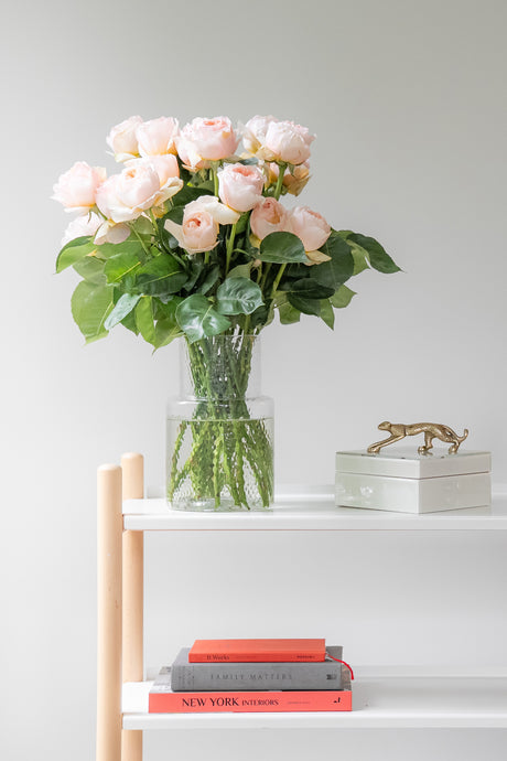 Rose Garden Juliet – Peach