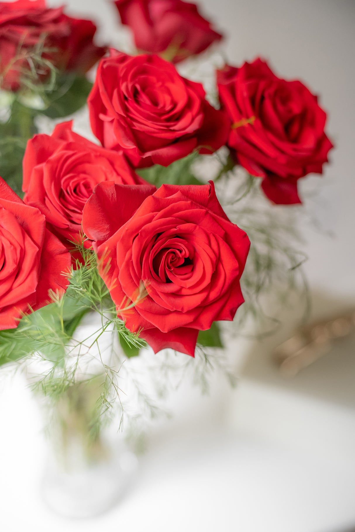 Rose Freedom – Red