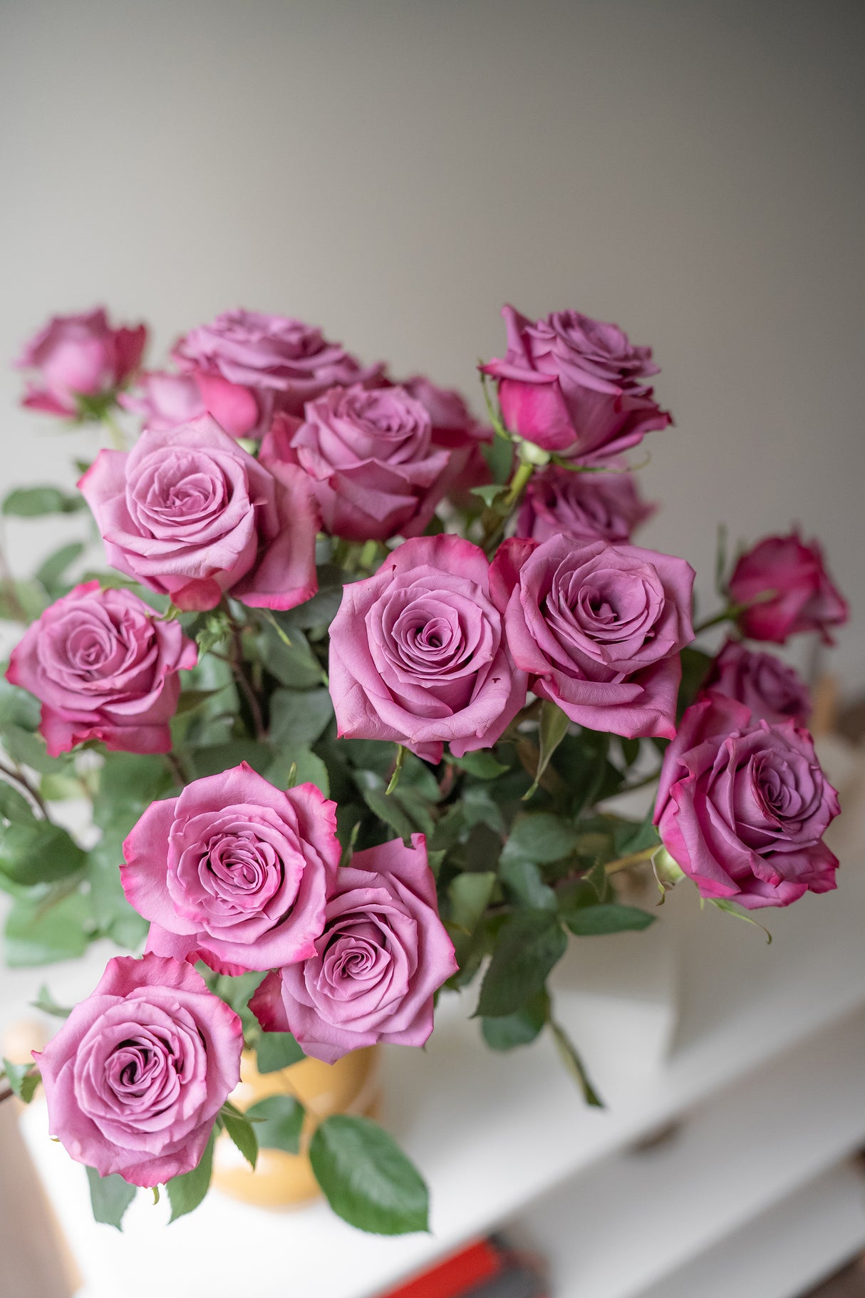 Rose Violet Hill – Mauve