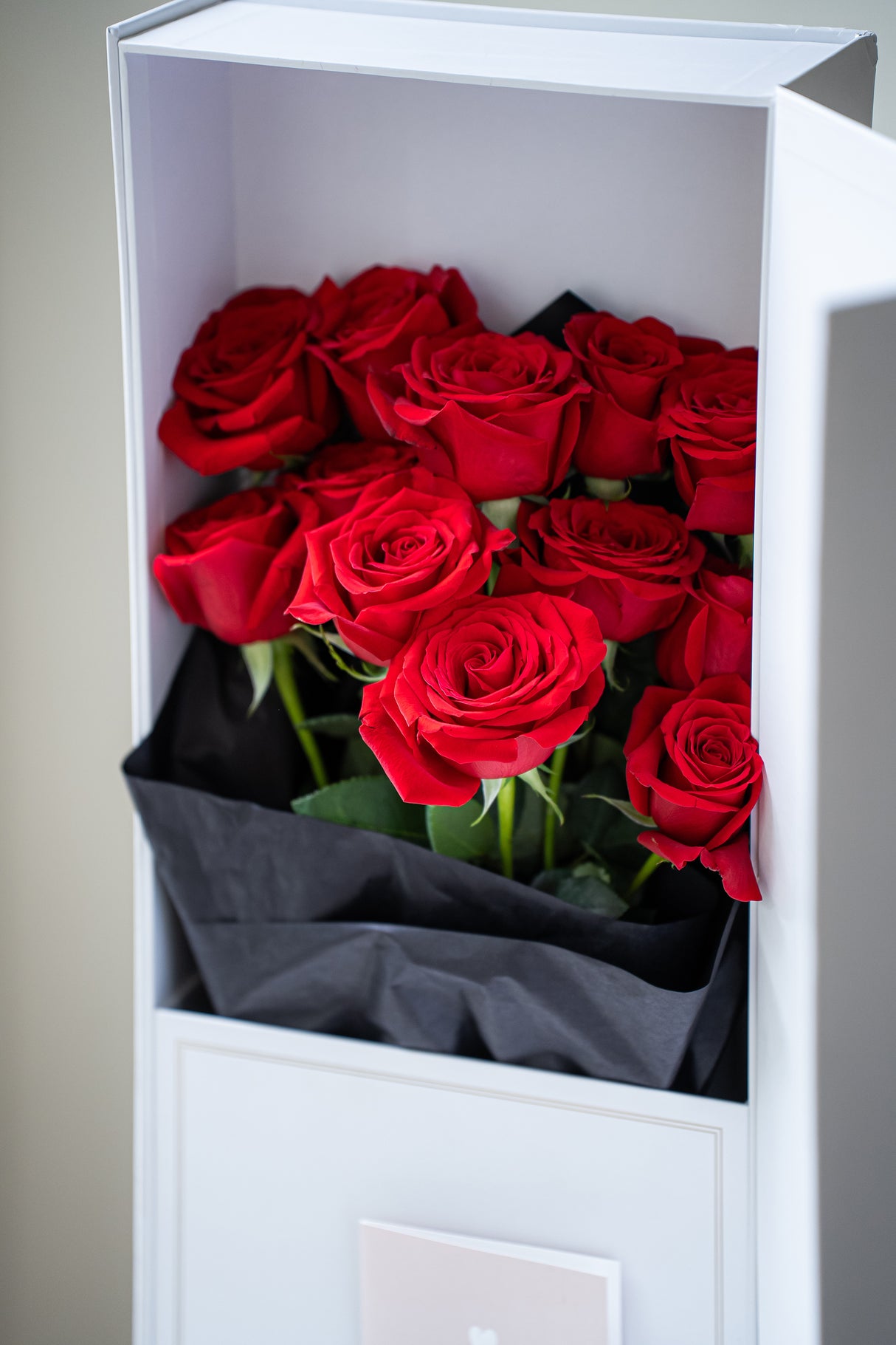 Rosa Prima® Freedom Red Roses — 12 Premium Roses