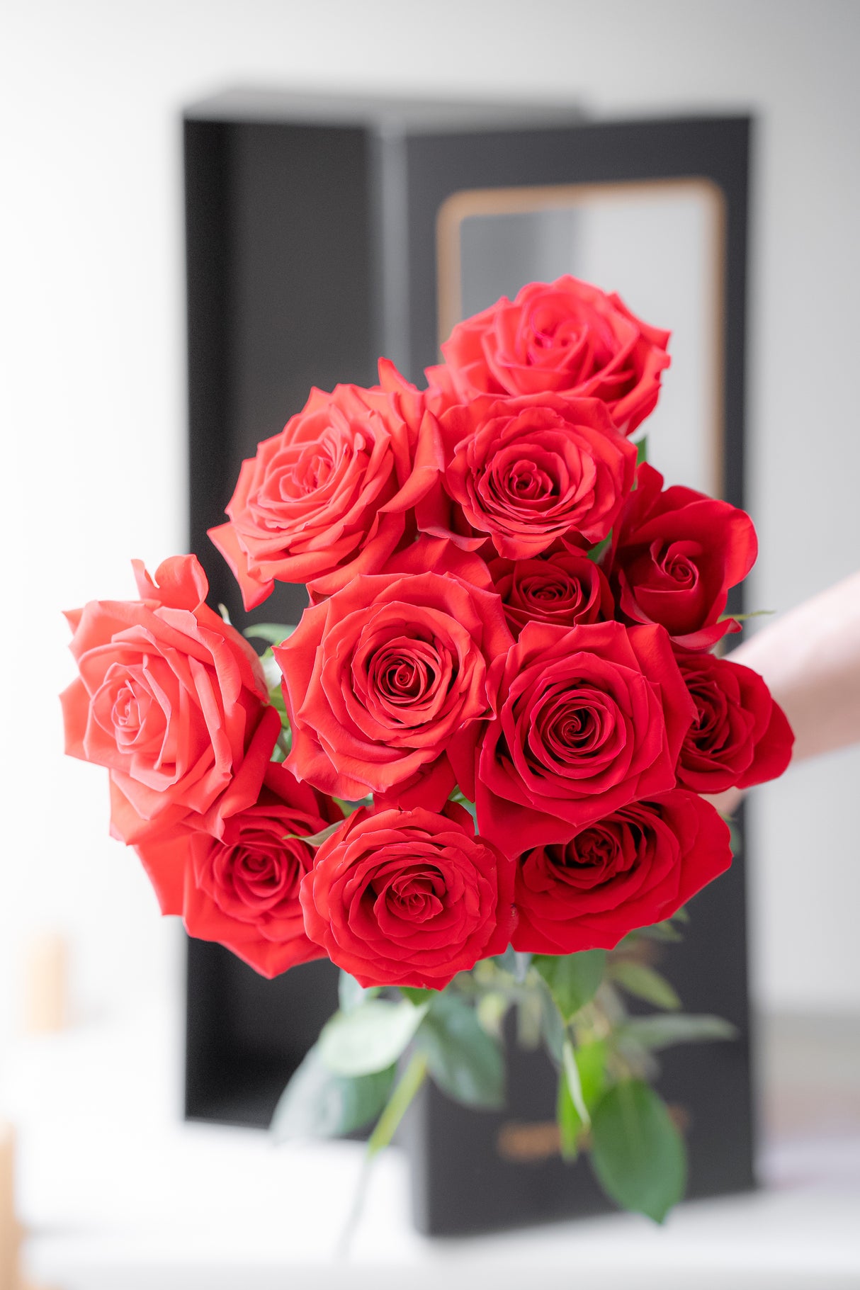Rosa Prima® Freedom Red Roses — 12 Premium Roses