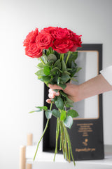 Rosa Prima® Freedom Red Roses — 12 Premium Roses