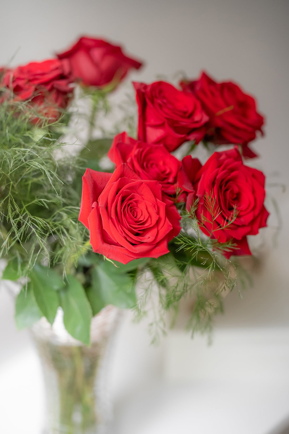 Rose Freedom – Red