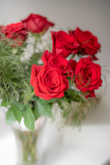 Rose Freedom – Red