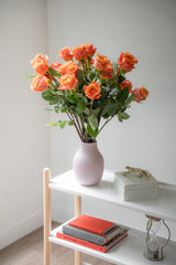 Rose Mango Tango – Orange