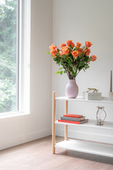 Rose Mango Tango – Orange