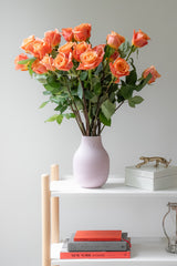 Rose Mango Tango – Orange